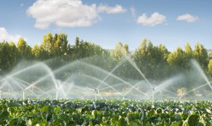 Irrigation Equipment Export Company Turkey: Serdar Adeka