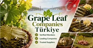 Grape Leaf Producer Companies List Turkiye